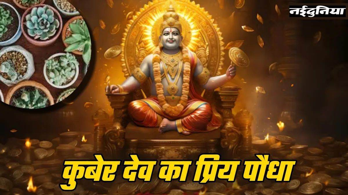 धनतेरस 2025 पर घर लाएं ये पौधा, मिलेगी कुबेर-लक्ष्मी की कृपा, बढ़ेगी धन-संपदा

