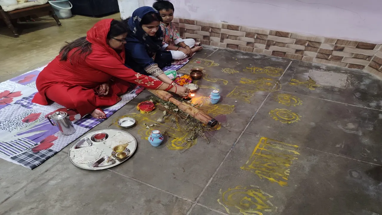 बिल्लियाँ