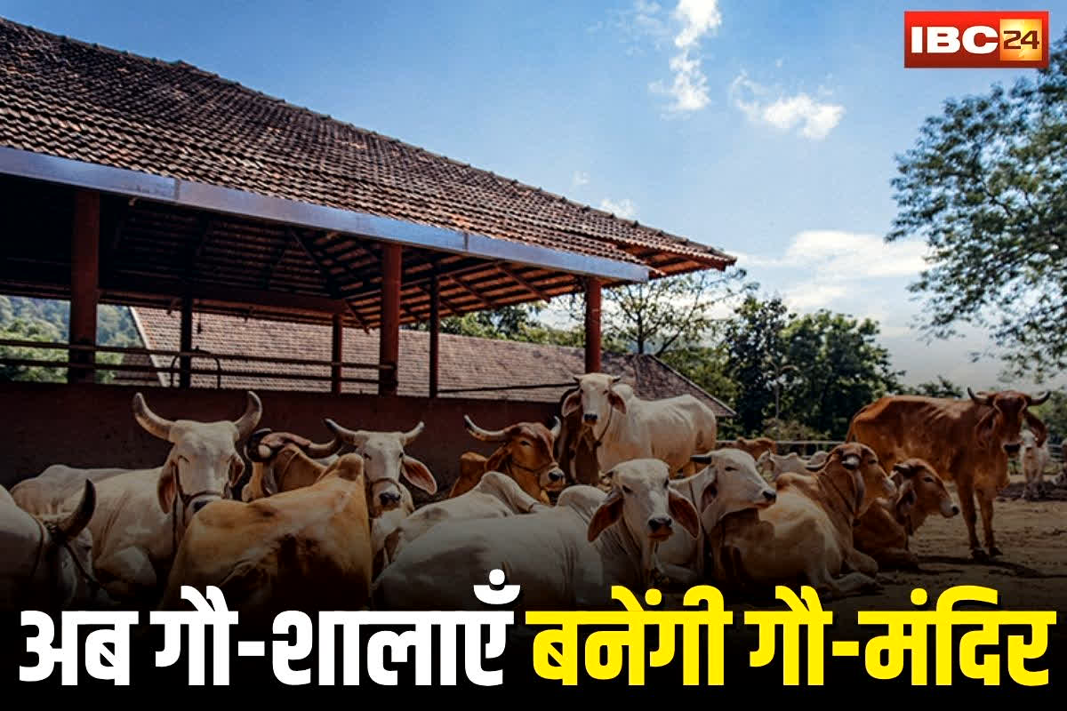 MP News: अब गौशालाएं बनेंगी गौ मंदिर! गोवर्धन पूजा पर मुख्यमंत्री ने किया बड़ा ऐलान, किसानों को मिलेगा अतिरिक्त बोनस


