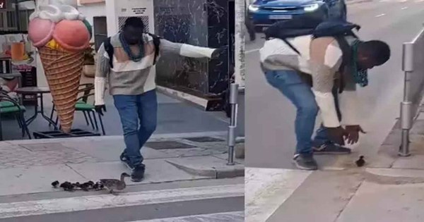 Viral Video: इंसानियत दिखाते हुए बत्तख और उसके बच्चे को सड़क पार कराई


