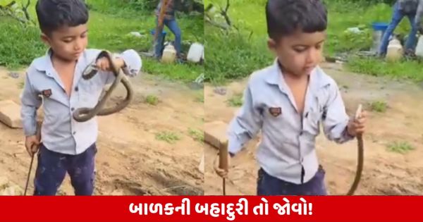 Viral Video: इस वीडियो को देखने के बाद लोग बोले छोटू की सीट यमराज के पास!

