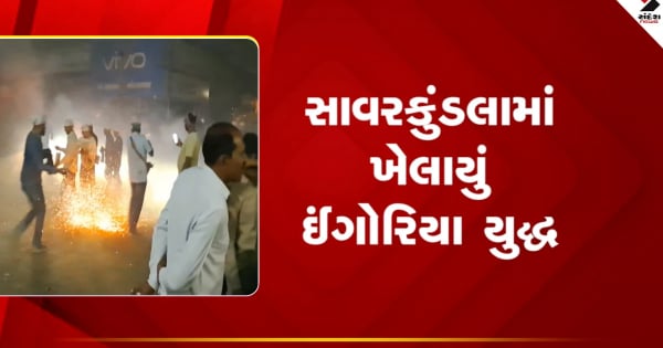 अमरेली: दिवाली उत्सव के दौरान सावरकुंडला में इंगोरिया और कोकादानी के बीच भीषण लड़ाई, देखें वीडियो.

