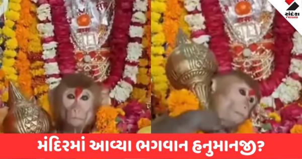 क्या सच में मंदिर में आये थे हनुमानजी? वीडियो हुआ वायरल

