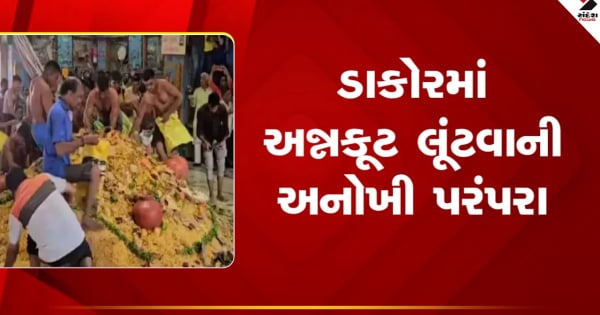 गुजरात समाचार: तीर्थस्थल डाकोर में वर्षों पुरानी परंपरा, मंदिर खुलते ही लुटाया गया 151 मन अन्नकूट

