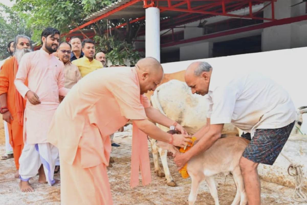 गोवर्धन योजना: गोवर्धन योजना से बढ़ी किसानों की आय, जानिए तीन प्रमुख योजनाओं के बारे में

