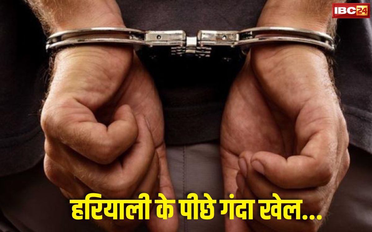 ग्वालियर समाचार: ग्वालियर में ट्रक के नीचे छिपाया गया था नशे का जखीरा, पुलिस ने किया भंडाफोड़, 28 लाख रुपये के गांजे के साथ 3 तस्कर गिरफ्तार

