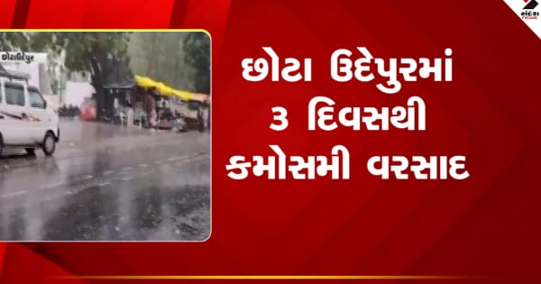 छोटा उदयपुर समाचार: जिले में पिछले तीन दिनों से सूखे छोटा उदयपुर समाचार: जिले में पिछले तीन दिनों से सूखे के कारण खेती को भारी नुकसान हुआ है.