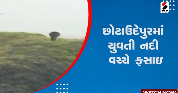 छोटाउदेपुर: अचानक आई बाढ़ से नदी में फंसी बच्ची, देखें वीडियो


