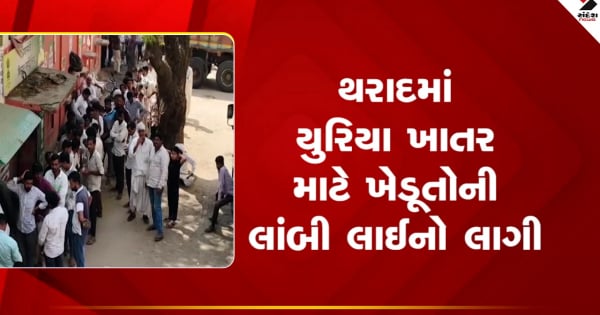 थराद न्यूज़: दिवाली के त्यौहार के दौरान खाद के लिए किसानों की वलखा में मारामारी की नौबत आ गई, सुबह से ही कतारें लग गईं.

