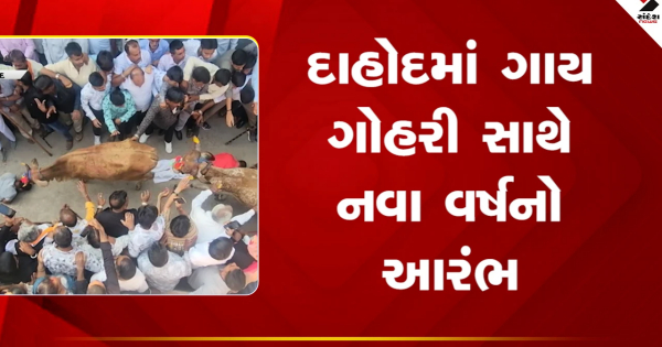 दाहोद: गौहरी गाय के साथ नए साल की शुरुआत, देखें वीडियो

