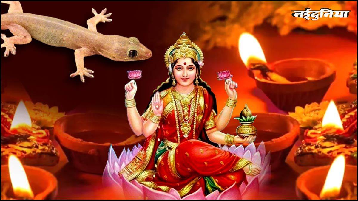 दिवाली 2025: दिवाली पर छिपकली दिखना होता है शुभ, इस दिन ढूंढने पर भी नहीं मिलती छिपकली, क्यों हो जाती है गायब?

