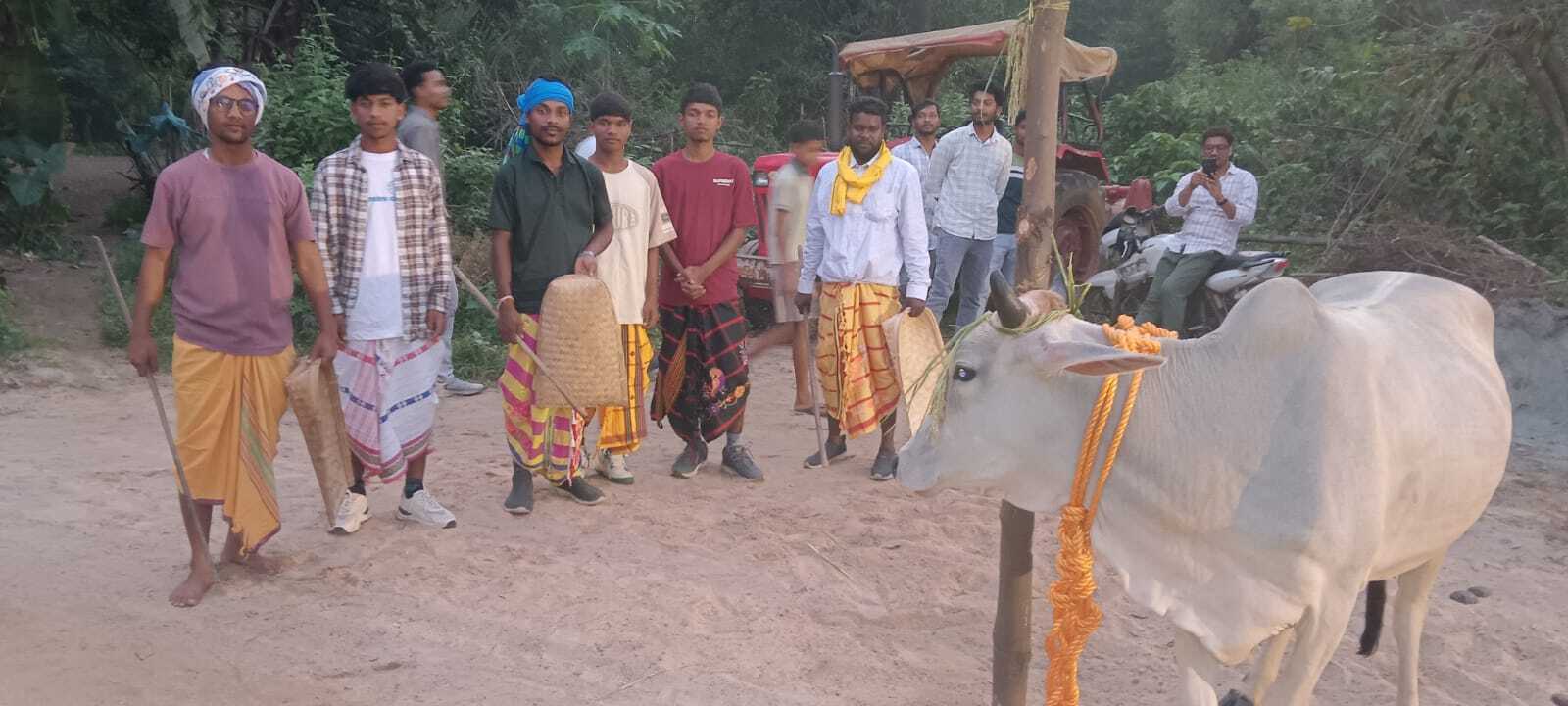 धनबाद समाचार: धांगी, ढोकरा और भूदा में बरदखुंटा में धूम

