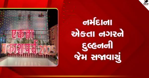 नर्मदा में स्टैच्यू ऑफ यूनिटी में एकतानगर को दुल्हन की तरह सजाया गया, देखें वीडियो

