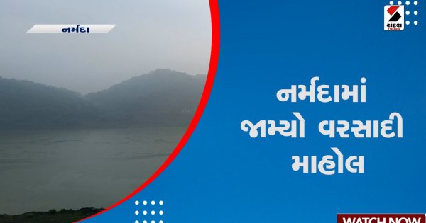 नर्मदा: स्टैच्यू ऑफ यूनिटी इलाके में हिल स्टेशन जैसा माहौल, देखें वीडियो

