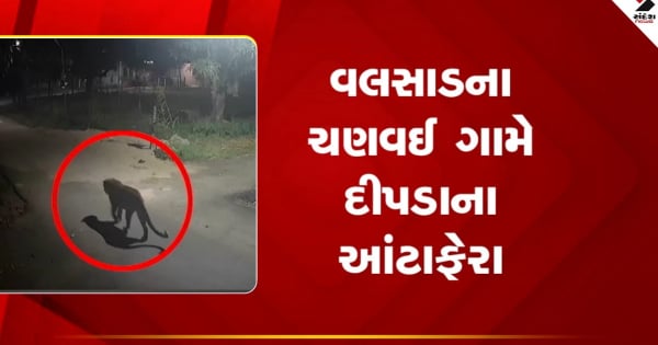 वलसाड के चणवई गांव में दीपड़ा कीट का प्रकोप, देखें वीडियो

