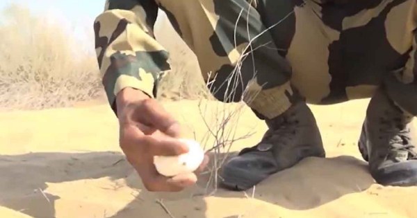वायरल वीडियो: बीकानेर में भीषण गर्मी के बीच बीएसएफ अधिकारी ने रेत में उबाली इंदु

