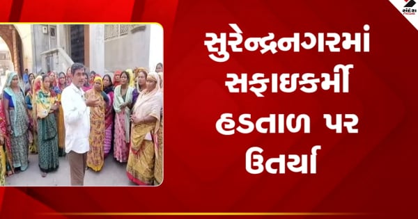 सुरेंद्रनगर: दिवाली पर वाधवान में 300 कर्मचारी हड़ताल पर, देखें वीडियो

