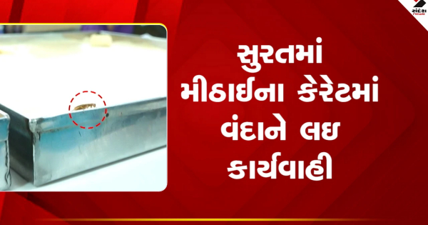 सूरत में मिठाई के कार्टन में छड़ी मिलने पर हुई कार्रवाई, विक्रेता पर लगा 10 हजार रुपये का जुर्माना, देखें वीडियो

